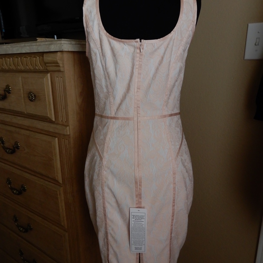 CACHE Soft Pink Lace Pencil Fit Corset Style Dress
